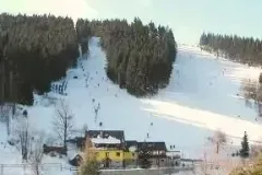 11.6-auto-ski-petrikov